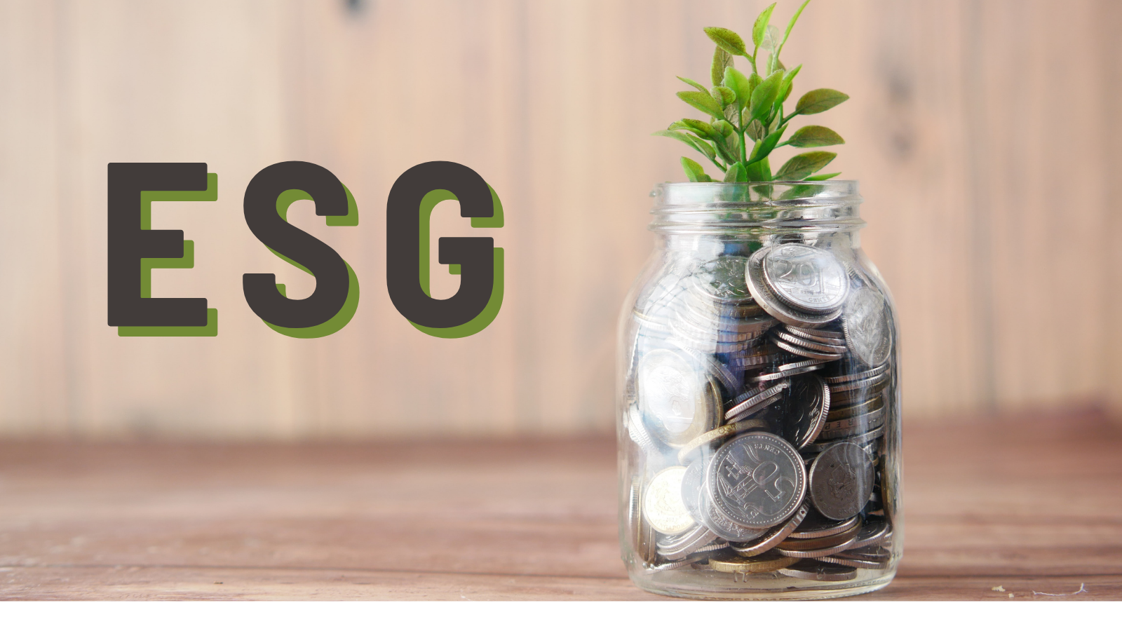 ESG in Family Offices